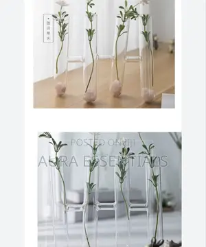 Decorative Clear Test Tube Flower Vase