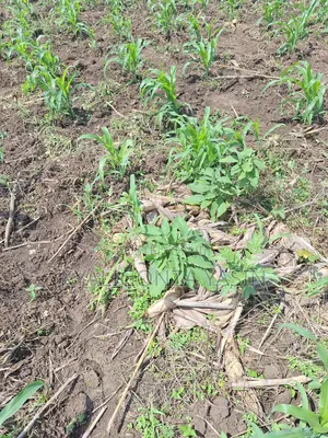 Fair Plots