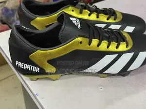 Predator Football Playiny Shoes