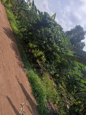 Plot for Sale 50*100ft