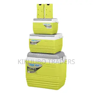 3pcs Insulated Ice Cooler Boxes With Ice Bricks