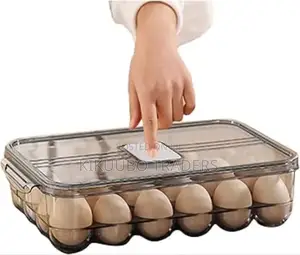 24 Grid Egg Storage Box