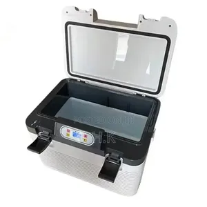 12l Portable Car Refrigerator