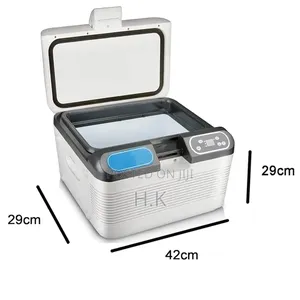 12l Portable Car Refrigerator