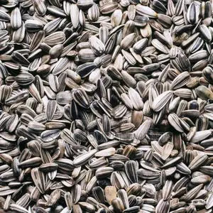 Sun Flower Seeds 500grams