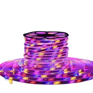 Waterproof Rgb Neon Led Strip Light With Remote Control