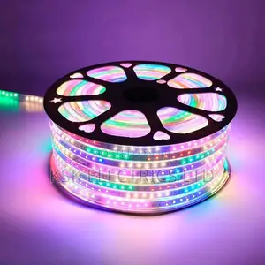 Waterproof Rgb Neon Led Strip Light With Remote Control