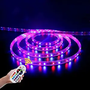 Waterproof Rgb Neon Led Strip Light With Remote Control