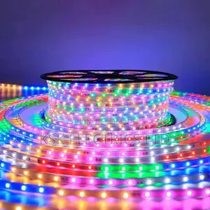 Waterproof Rgb Neon Led Strip Light With Remote Control