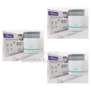 Momeasy Electric Steam 3 in 1