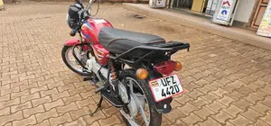 Bajaj Boxer 125 2024 Red