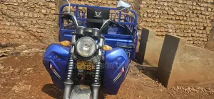 Tricycle 2024 Blue
