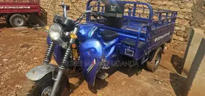Tricycle 2024 Blue