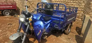 Tricycle 2024 Blue