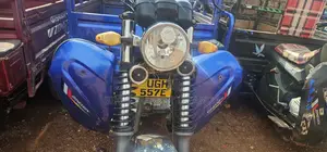 Tricycle 2024 Blue
