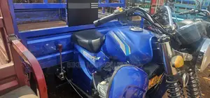 Tricycle 2024 Blue