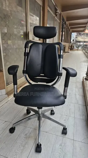 Excellent Orthopedic Office Chair