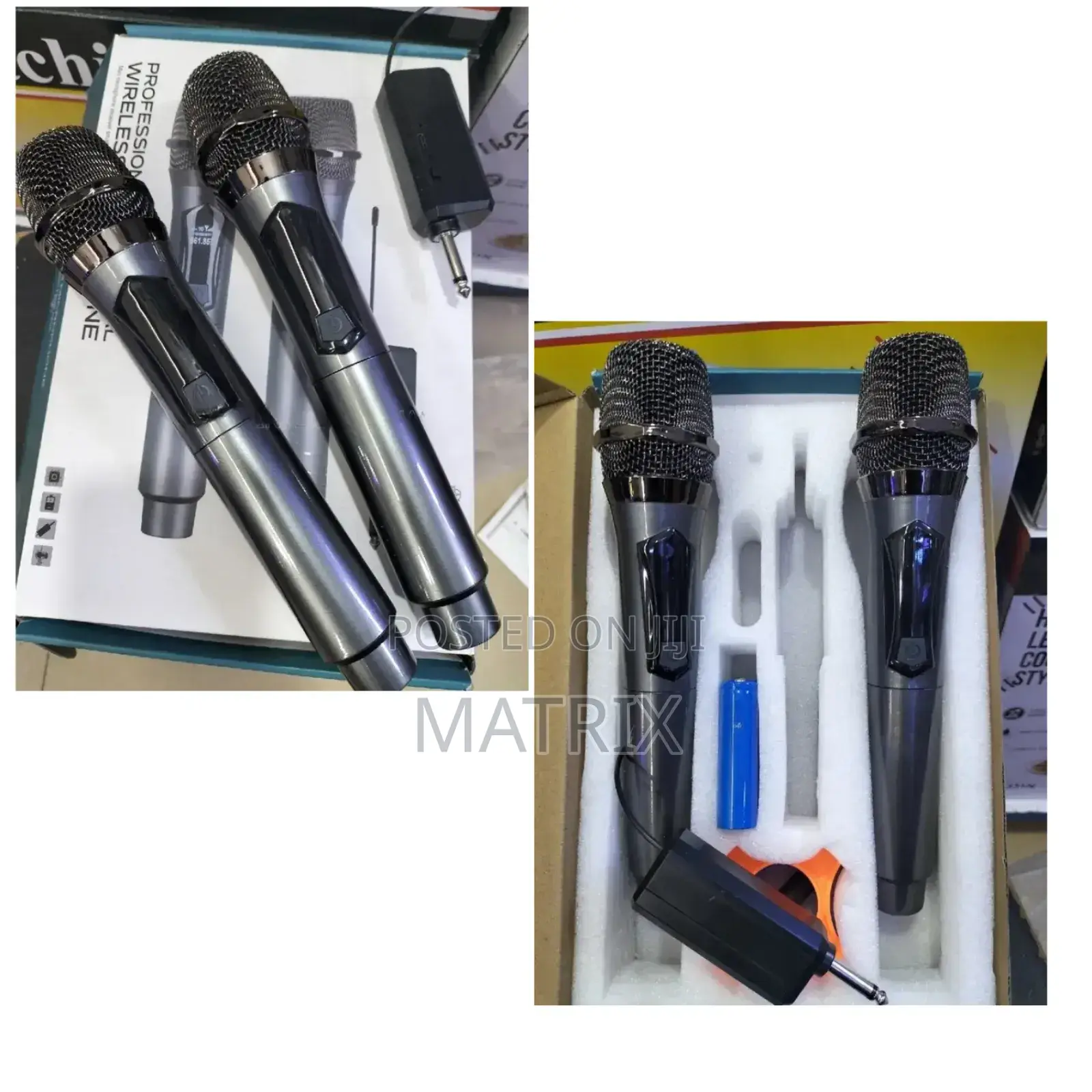 Double Professional Wireless Microphone