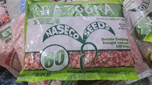 Bazooka Maize Seeds Grow Fast