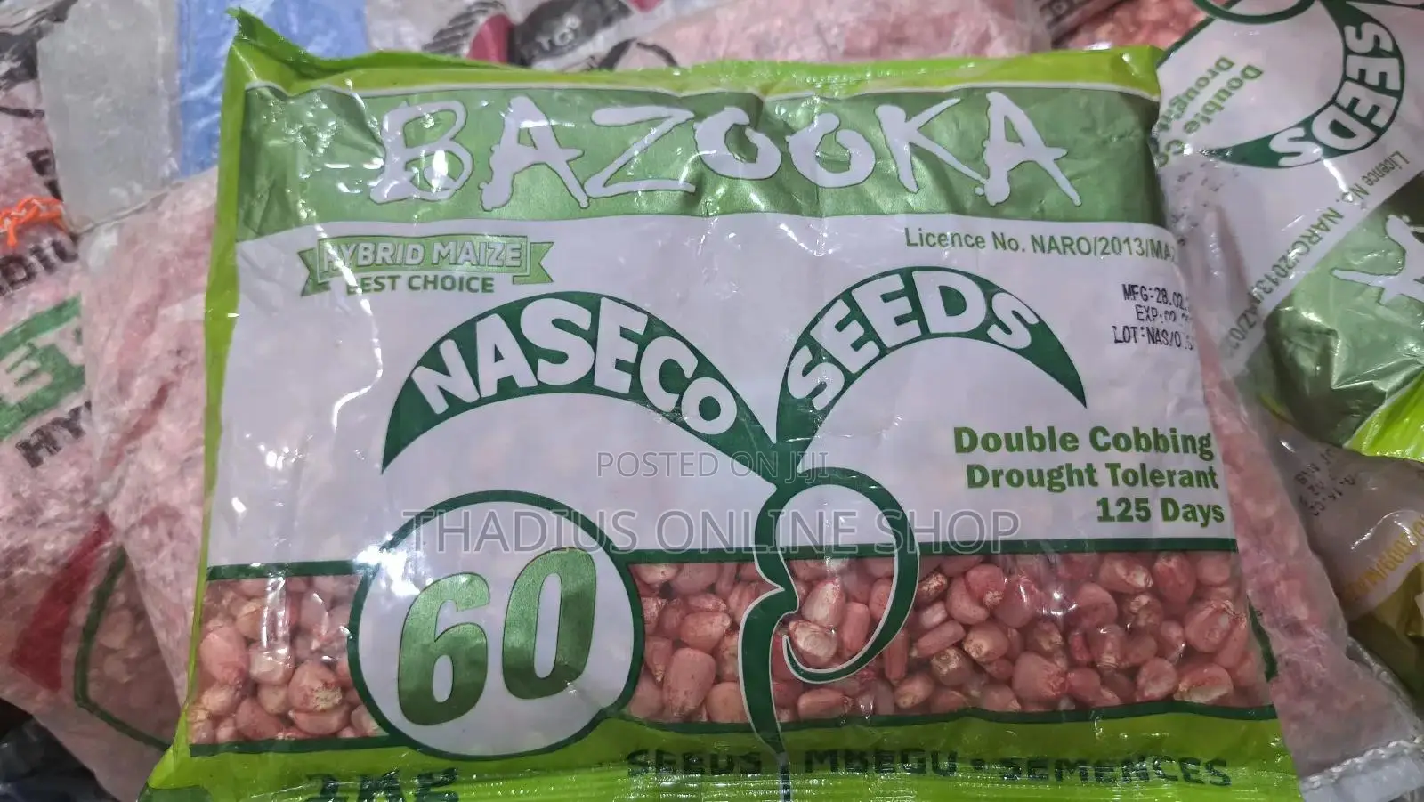 Bazooka Maize Seeds Grow Fast