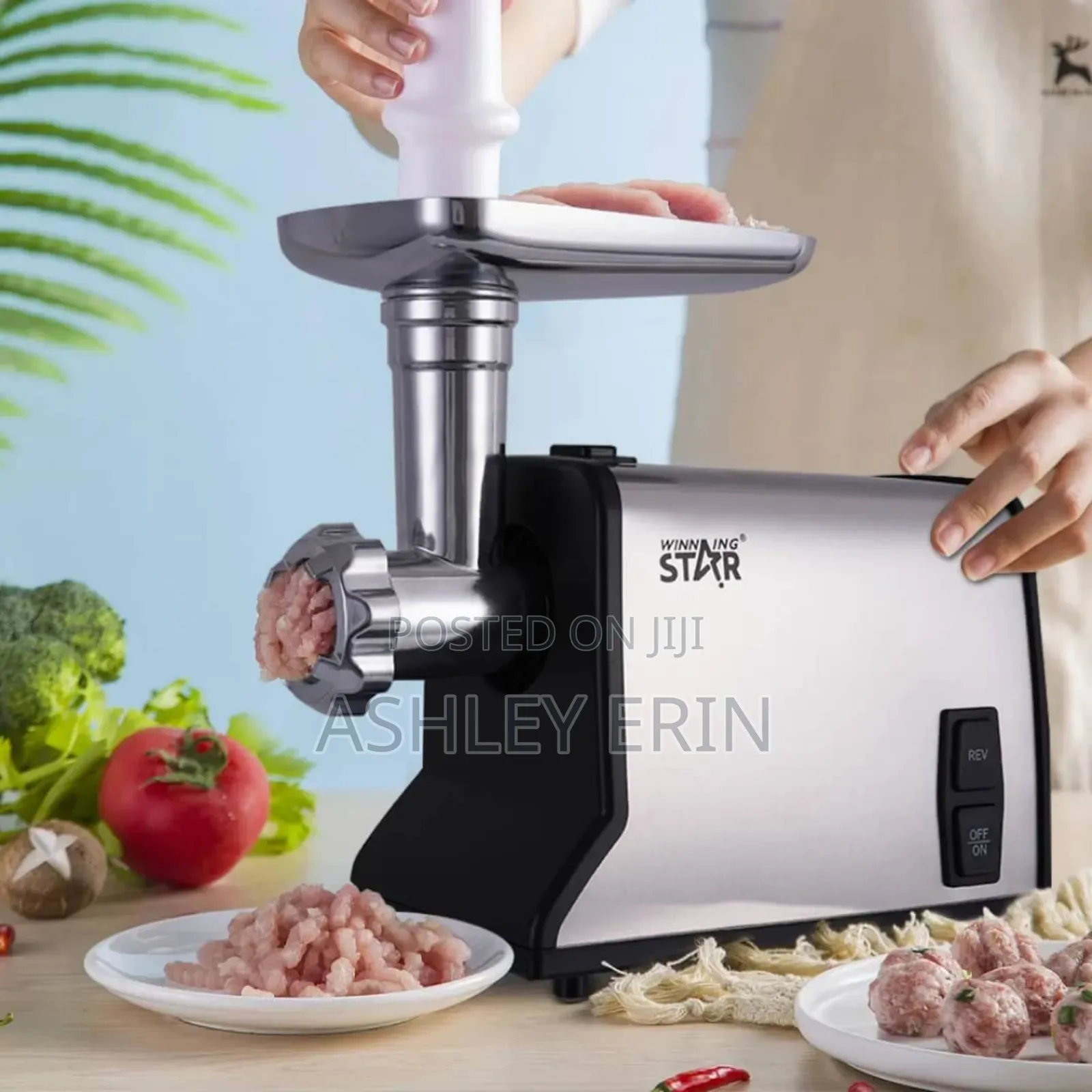 Winning Star St-5518 Electric Meat Grinder