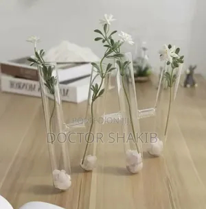 Unique Decorative Clear Test Tube Flower Vase