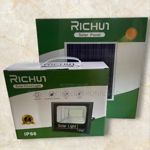 200w Durable Richur Led Solar Flood Lights Hemk