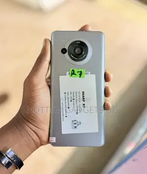 Sharp Aquos R7 256 GB Silver