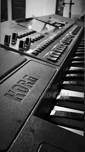 Korg Pa 700