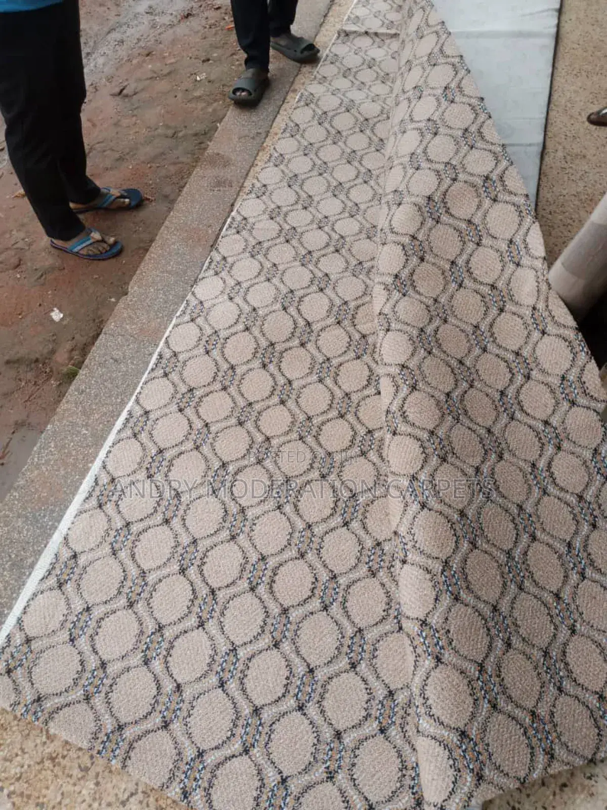 Legita Wall to Wall Woolen Carpets