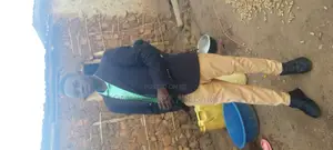 Offloaders to Work in Rubaga