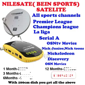 Nilesat Services