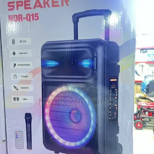 NDR Q 15 Professional Battery Speaker System