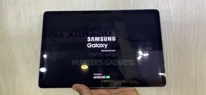 Samsung Galaxy Tab S9 FE 256 GB Gray