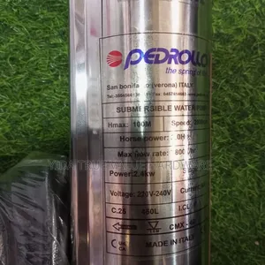 Water Pump 100m Pedrollo