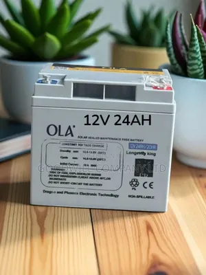 24ah Ola Battery Heavy Duty Latest Technology
