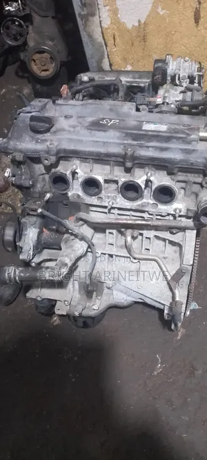 Engine Skeleton (Akawanga) 1az