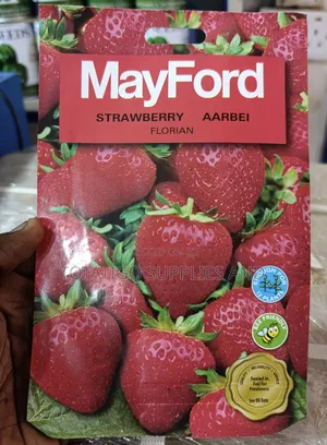 Strawberry Seeds -12-15 Seeds