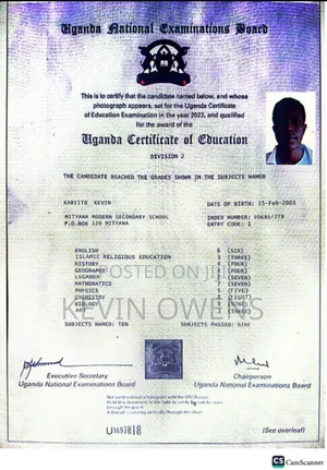 My Cv Document