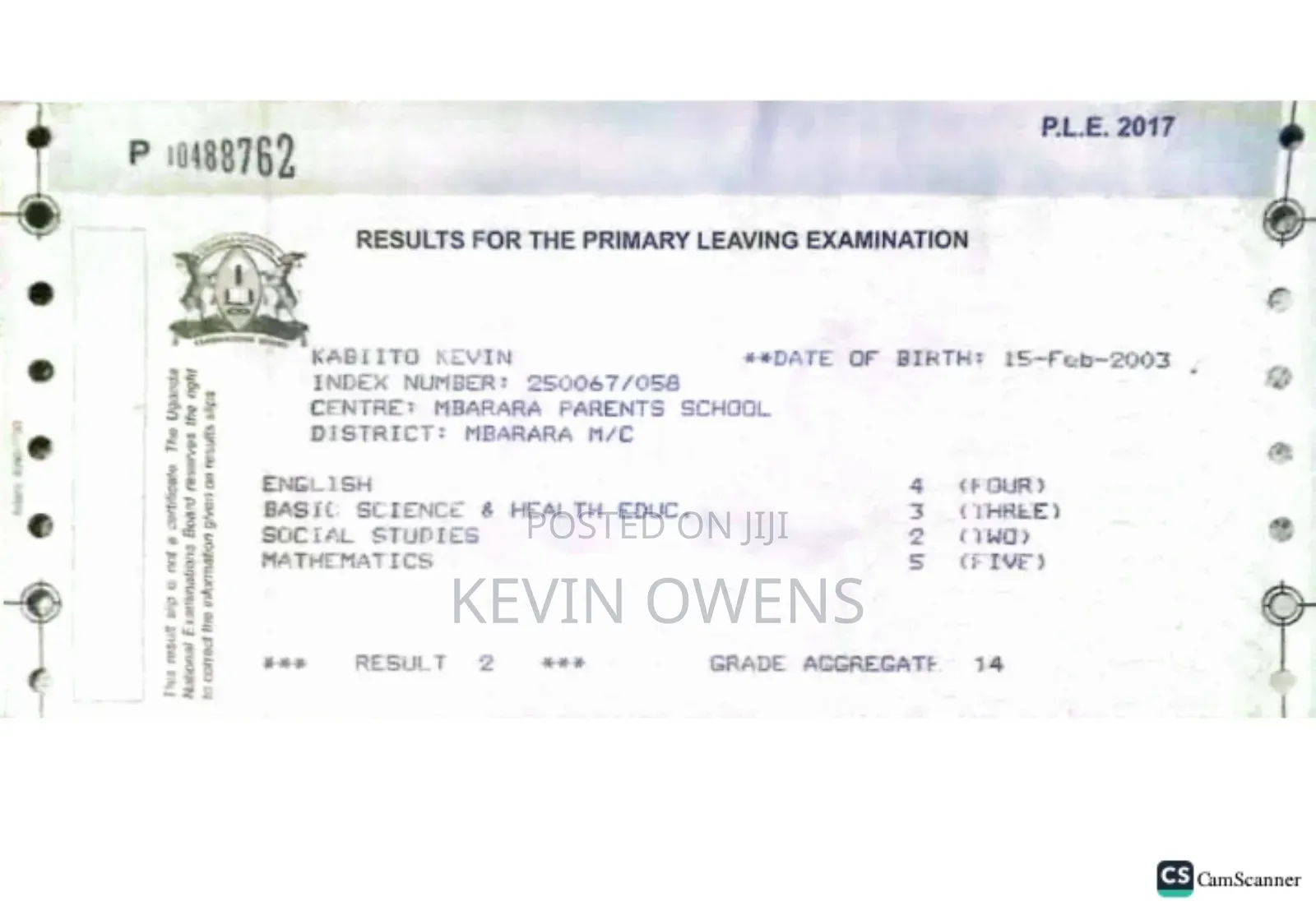 My Cv Document