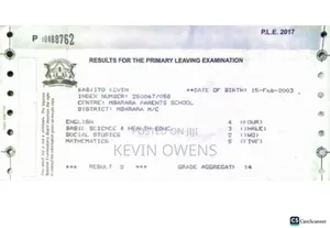 My Cv Document
