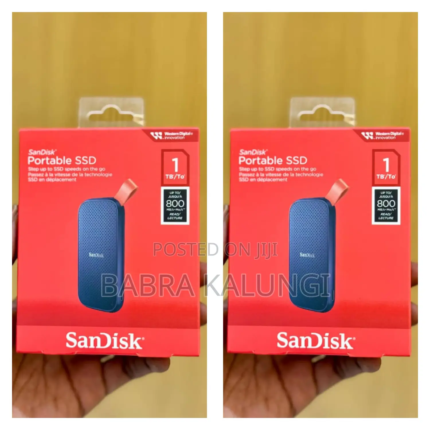 1tb Portable Sandisk Solid State Drive
