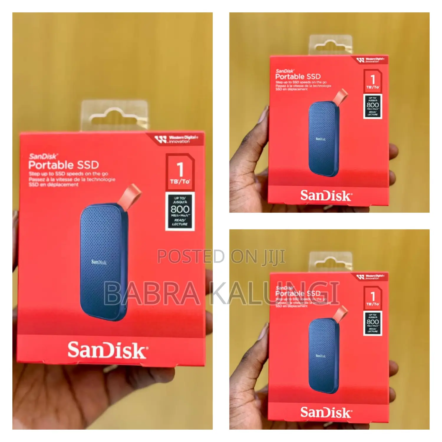 1tb Portable Sandisk Solid State Drive