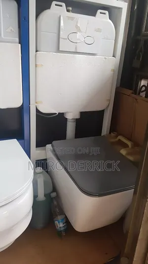 Concealed Toilets