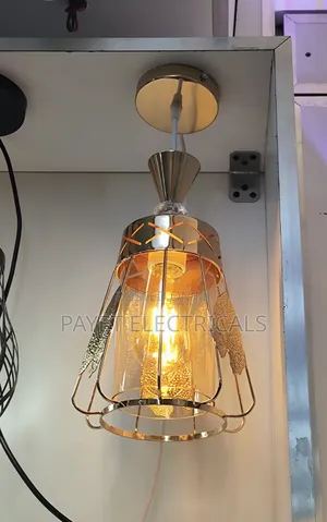 Pendant Lamp Holder With Agree Bulb