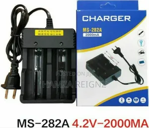 Ms-282a Charger for 2 18650 Size Li-Ion Batteries