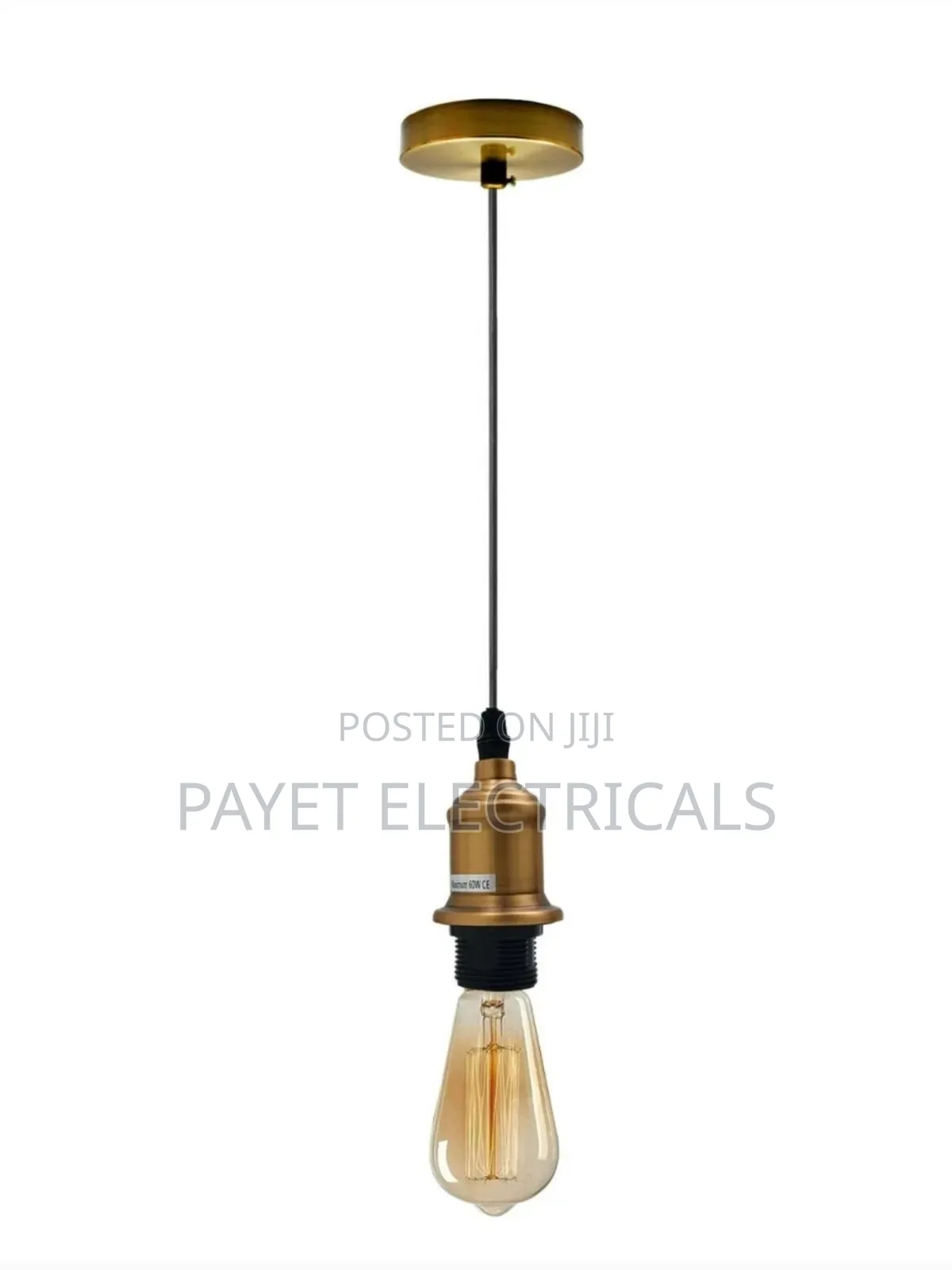 Lit Single Pendant Lamp Holder With Bulb