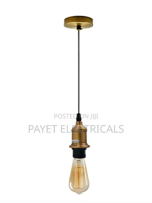 Lit Single Pendant Lamp Holder With Bulb