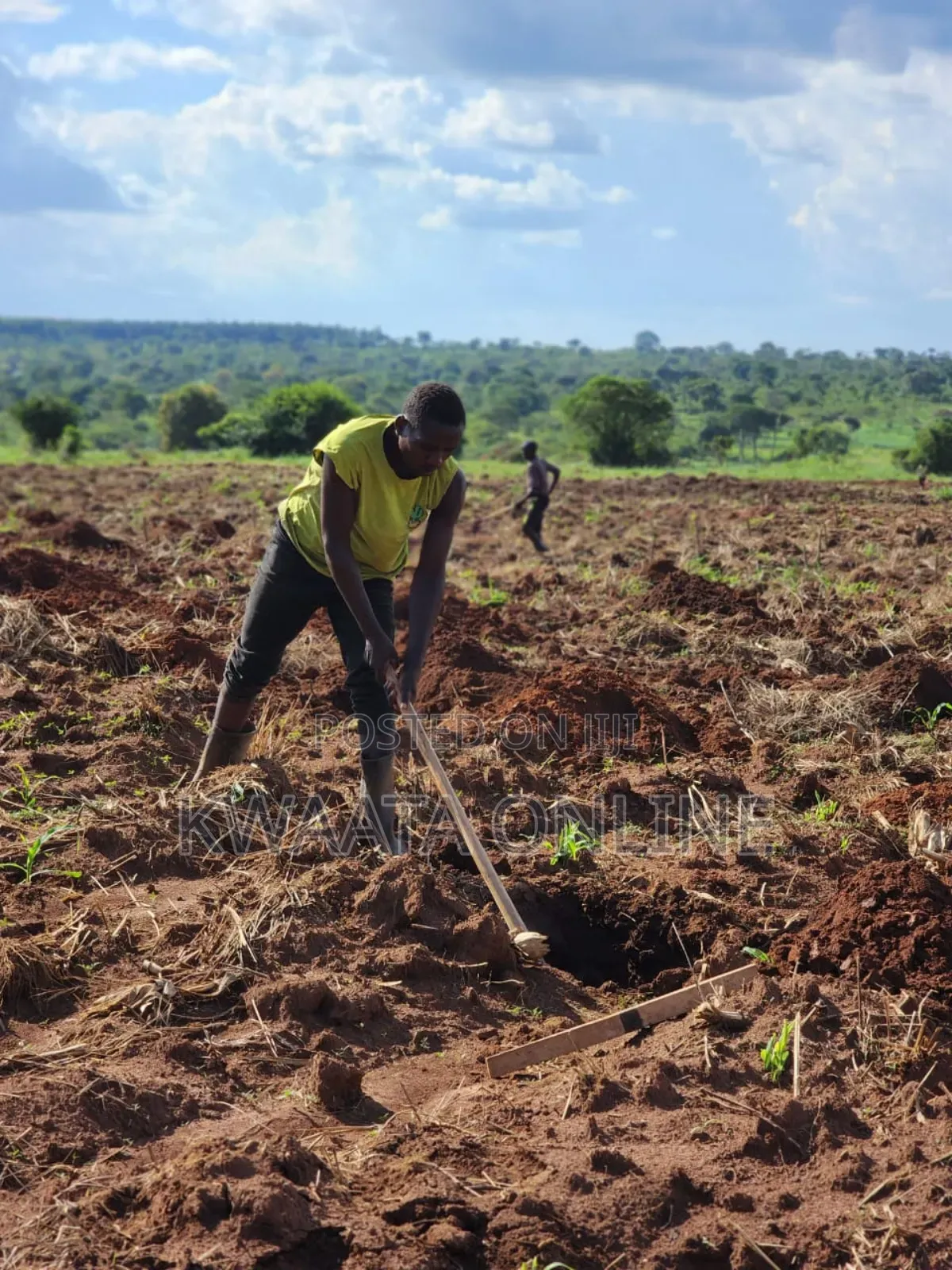 Farm Establishment and Management Consultancy