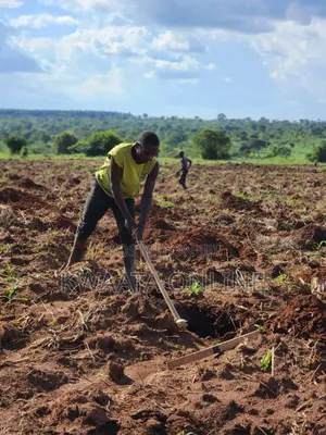 Farm Establishment and Management Consultancy